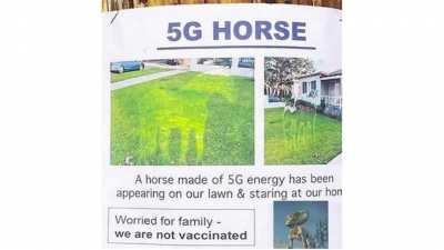5G Horse