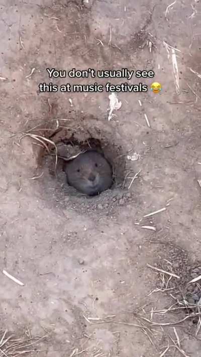 He wanted to enjoy the concert too