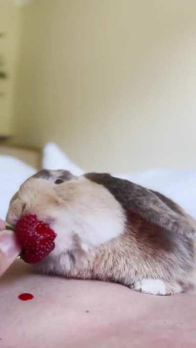 Tried to use my own body as a strawberry splash saver to protect my bed ð