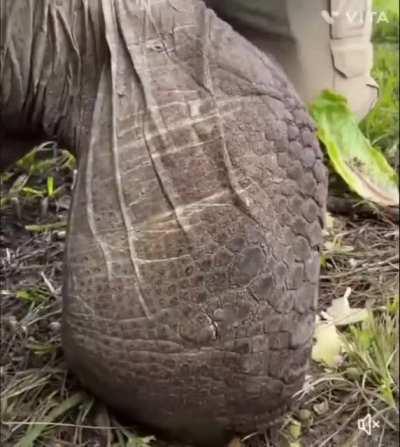 106-year-old Adolph enjoying a bath—and a treat afterward
