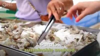 (Cross post from r/badassanimals) Do your part to protect Sea Turtles