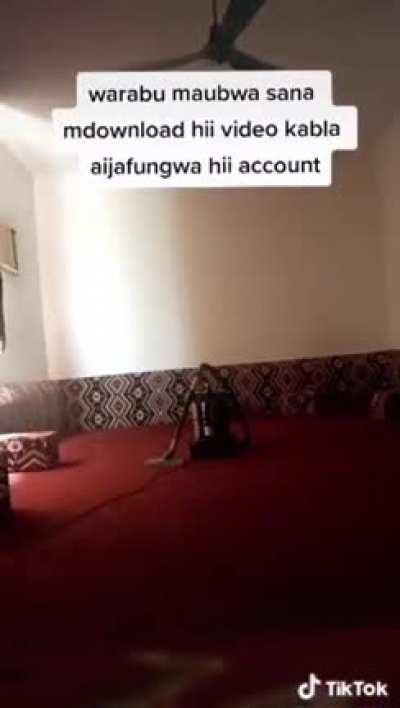 This Saudi POS always sexually assaulted his maid, no one believed her till she caught it on her phone. The account is deleted from tiktok to suppress this.