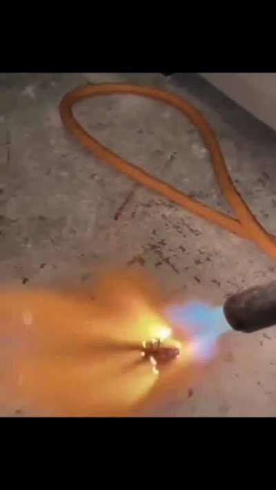 4 gündür benden gizleniyordu yakaladım orospu cocunu