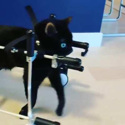 Watch out world, I’m on the move!