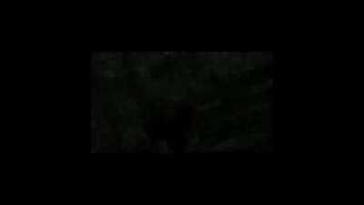 Gotta love cars in this game (OC)