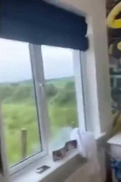 I like the 'WTF' looks on their faces...