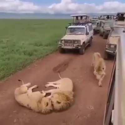 Technically, this fits the sub