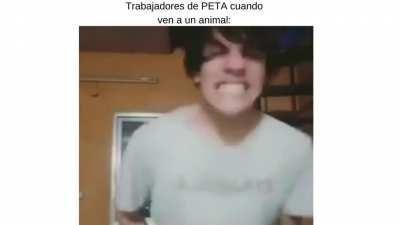 PETA resumido en un video