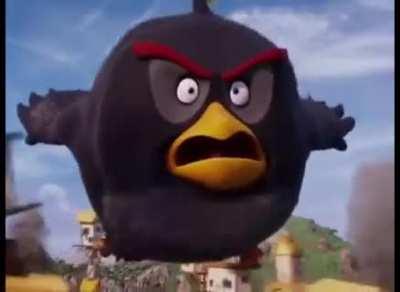 angry birds