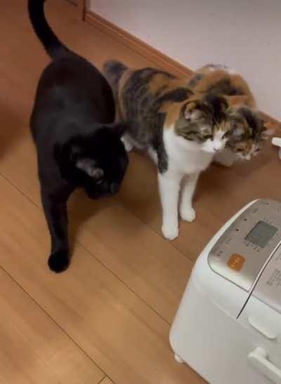 Synchronized Sketchiness