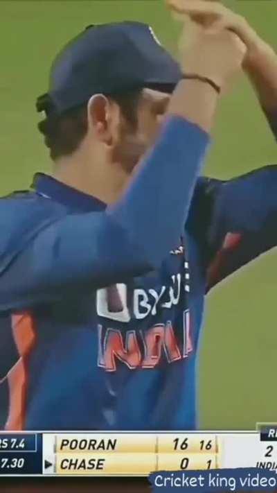 Most clear stump mic 