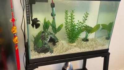 My little monster getting excited to see me