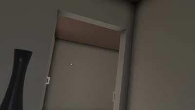 POV: You are the last sosig in the breach and clear map