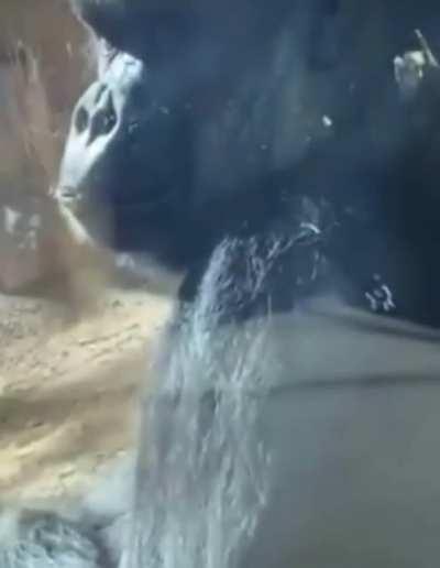 Me when I am concentrated doing something