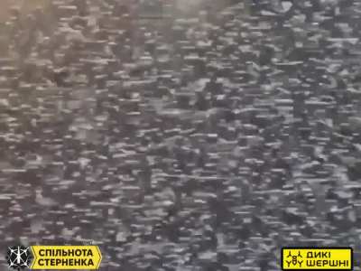 The STING interceptor drone shot down the Shaned. May 2025, location not disclosed.