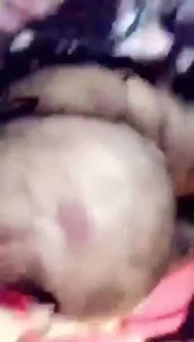 Quelqu'un connais son nom ??