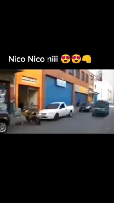 Nico nico niii