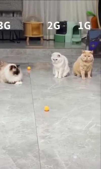 The speed of my internet visually)