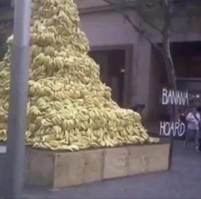 I need help, what are memes like these called, like these completely random memes, i need more.