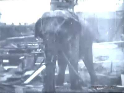 Thomas Edison Electrocuting Topsy the Elephant, in a Grand and Competitive Display Against Tesla 1903