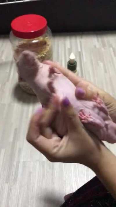 Marinating my chimken overnight for lunch tomorrow