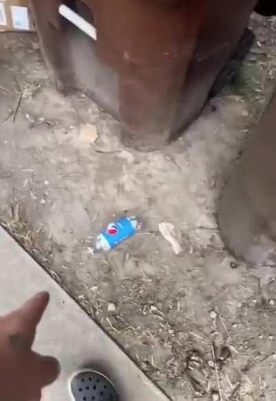 Task failed successfully.