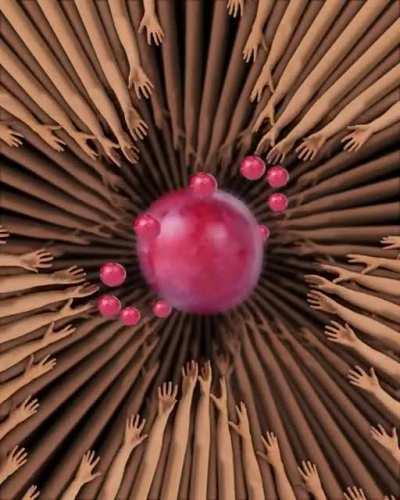 why have you f̷o̬ͮr̀s̕a̴̓k̴̩ͪẻ̱n̬͗͠ ͍̉ me grapes