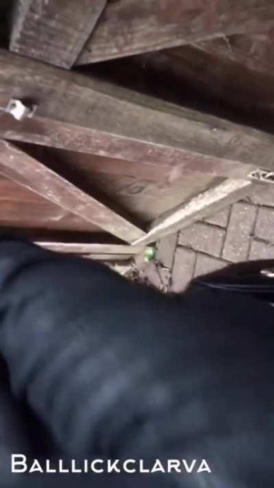 Girl sucking BBC out in London public