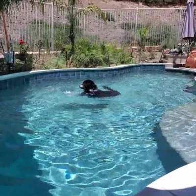 This is how he amuses himself all day. Noises and all.