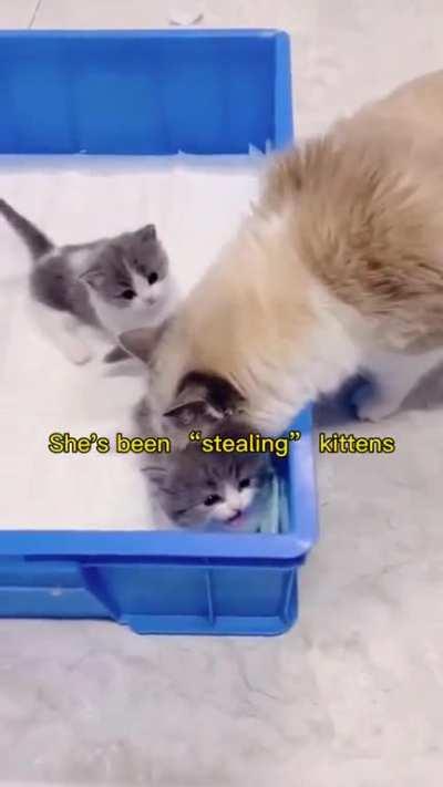 She enjoyed being a mother