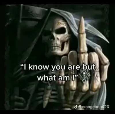 Heil Dear Leader Spez