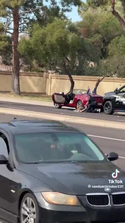 woman attacks cop with flag while resisting arrest