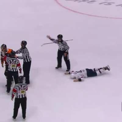 An Absolutely Devastating KO Punch from the Slovak Extraliga