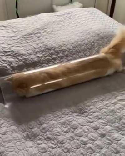 Как спагетти