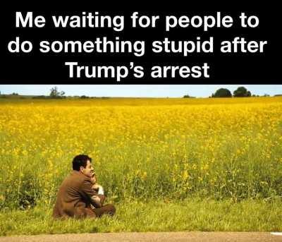 Entertain us, please