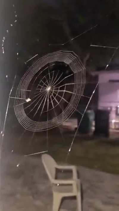 This little guy is super talented