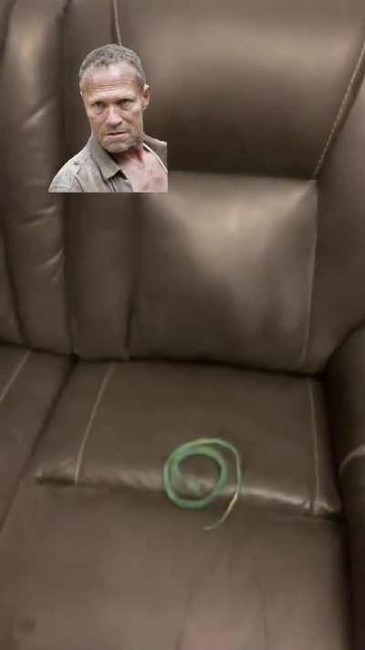 TWD characters react to a snake
