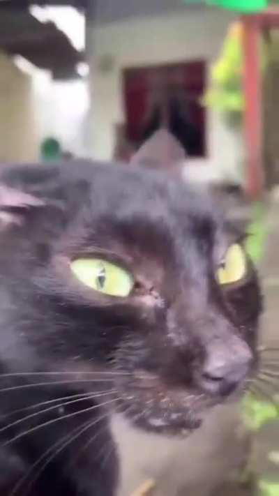 unintelligible conversation 