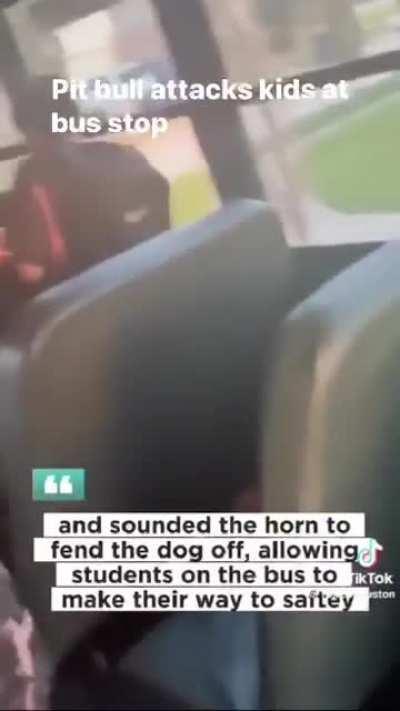 Pit bull attacks students at bus stop