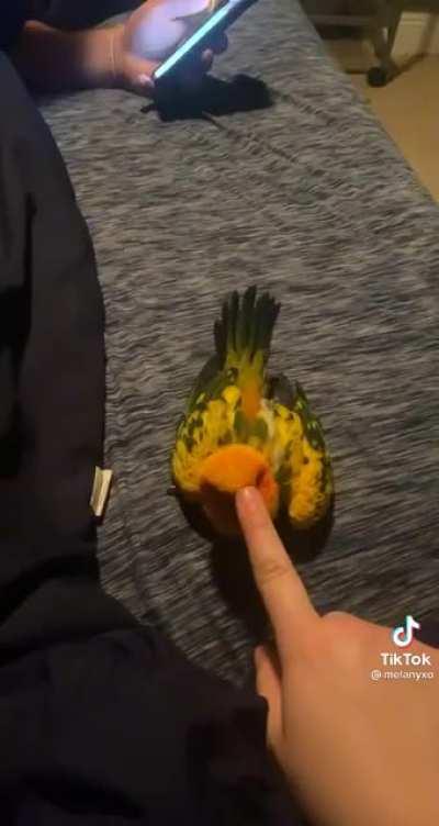 Не шути со мной!