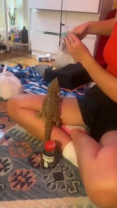 gravy in her tantalus era