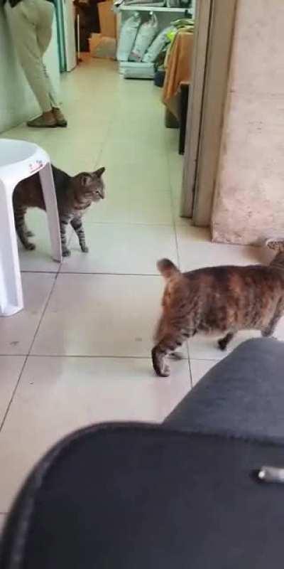 stoppp i coulda dropped my croissant