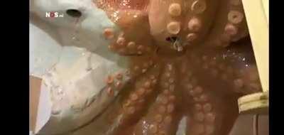 Kid news in The Netherlands is... different