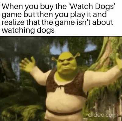 What the fuck is this shit?