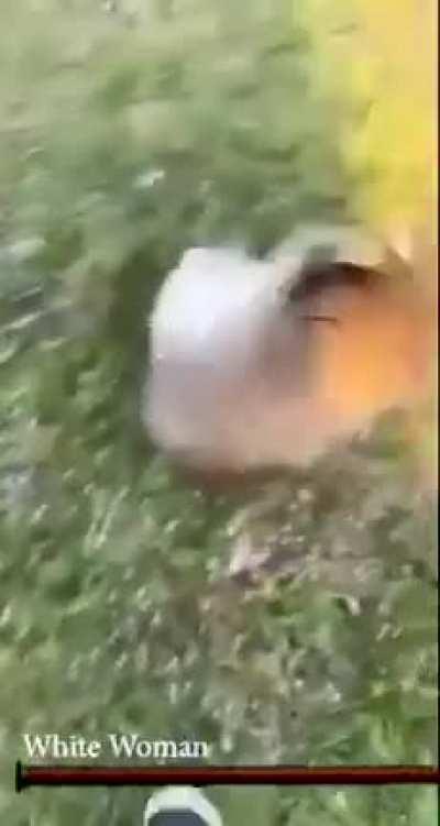 Sous like e tipo isso