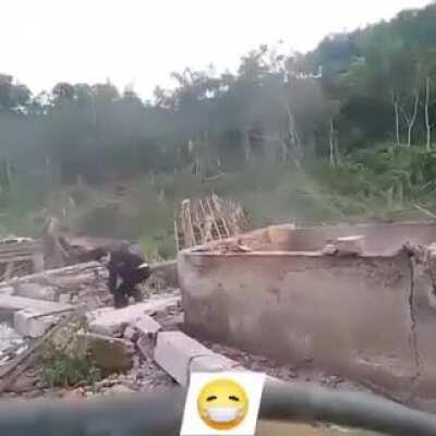 WCGW if you push a wall in dilapidated building