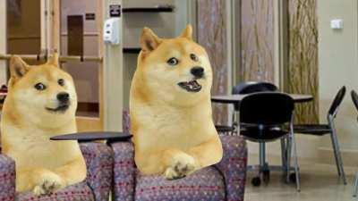 Le Violent Flashback has Arrived