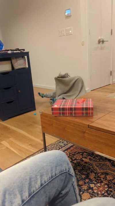 Saw a ghost over the holidays