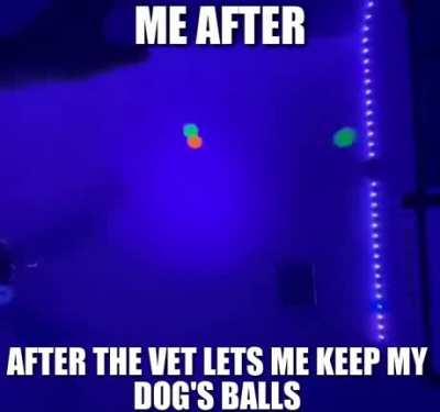 why are they so squishy