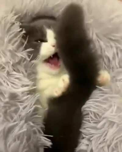 OMG! I'm gonna fucking die